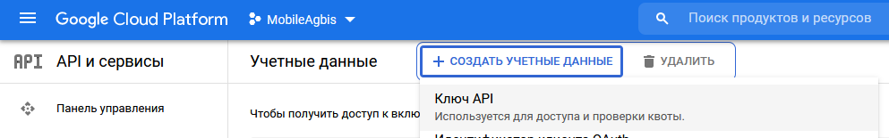 google_cloud_-_получение_ключа_api3.png
