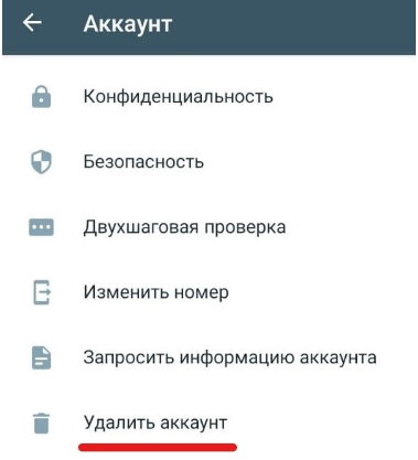 registratsiya_v_waba_docx_2022-06-10_13-18-52_img2.png